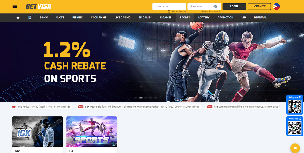 Betvisa Casino Site: Bangladesh Premium Destination for Online Pc Gaming